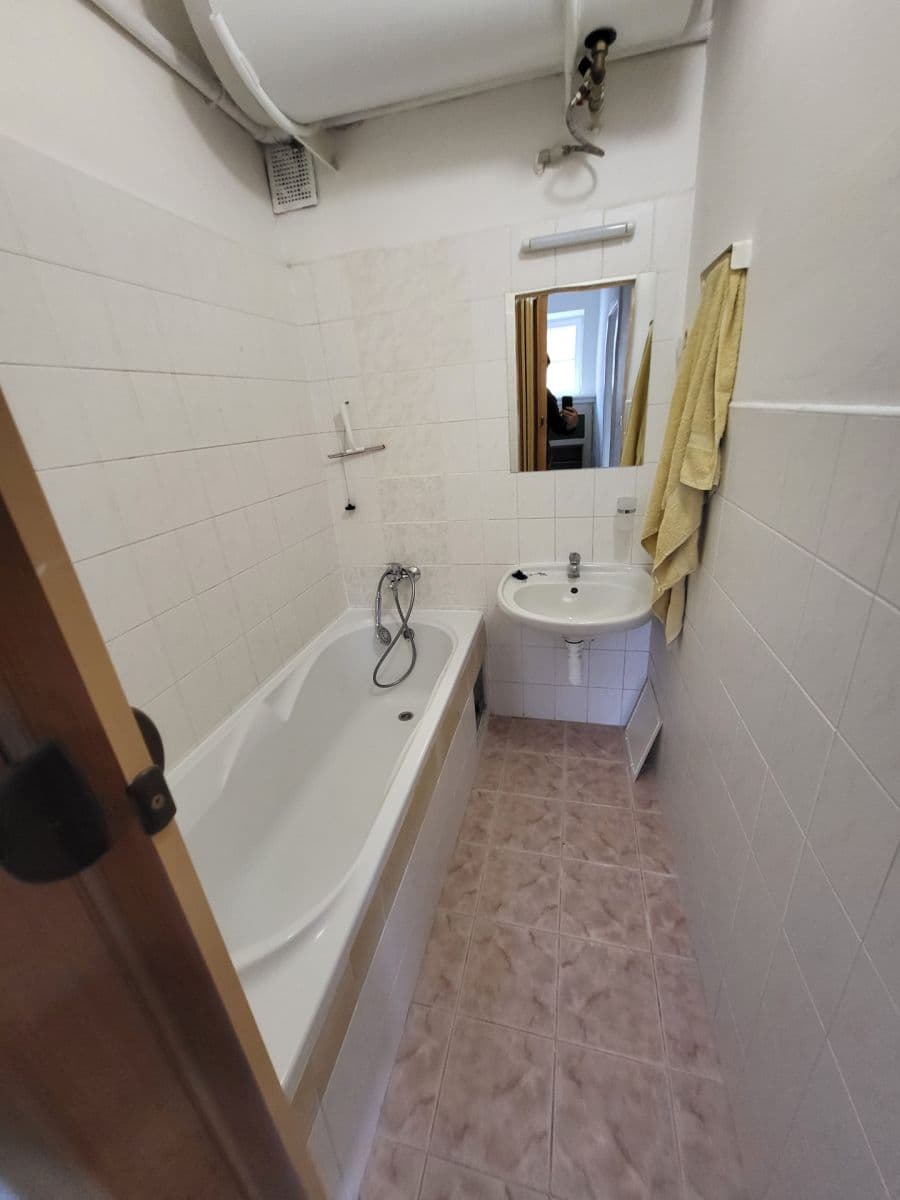 1 bedroom with open-plan kitchen flat to rent, 48 m², Lucemburská, Prague, Prague 1 bedroom with open-plan kitchen flat to rent, 48 m², Lucemburská, Prague, Prague