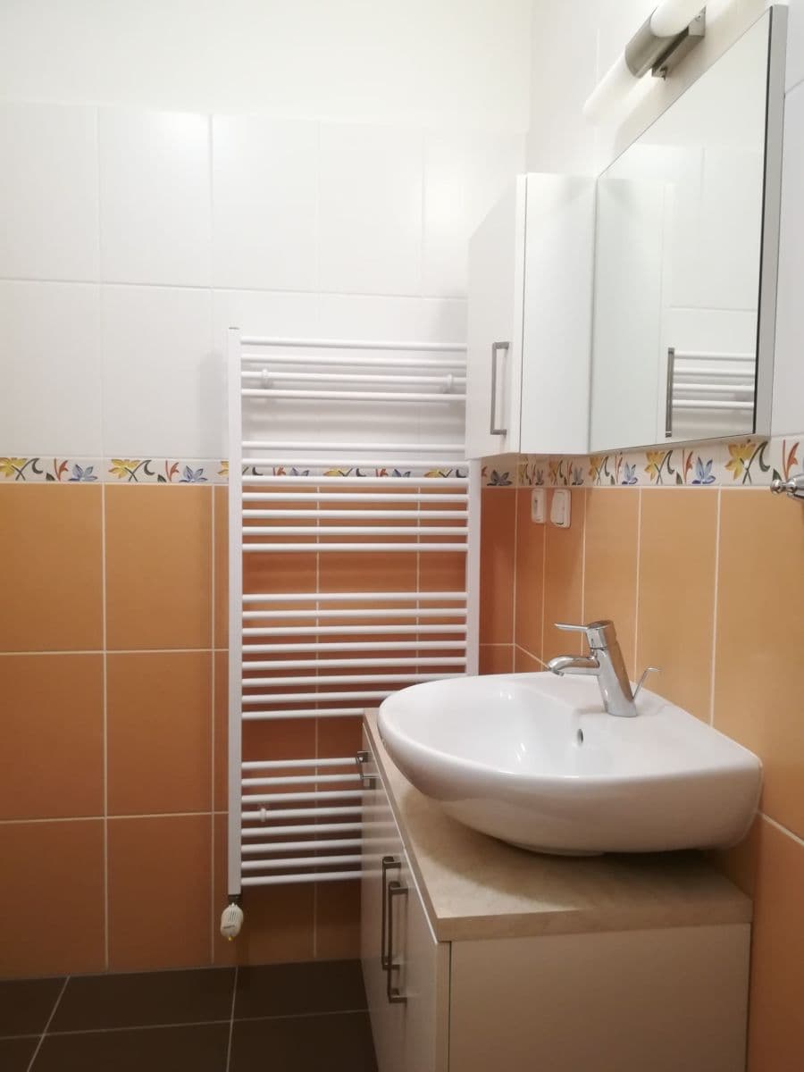 1 bedroom with open-plan kitchen flat to rent, 53 m², Zahradní, Rousínov, Jihomoravský Region 1 bedroom with open-plan kitchen flat to rent, 53 m², Zahradní, Rousínov, Jihomoravský Region