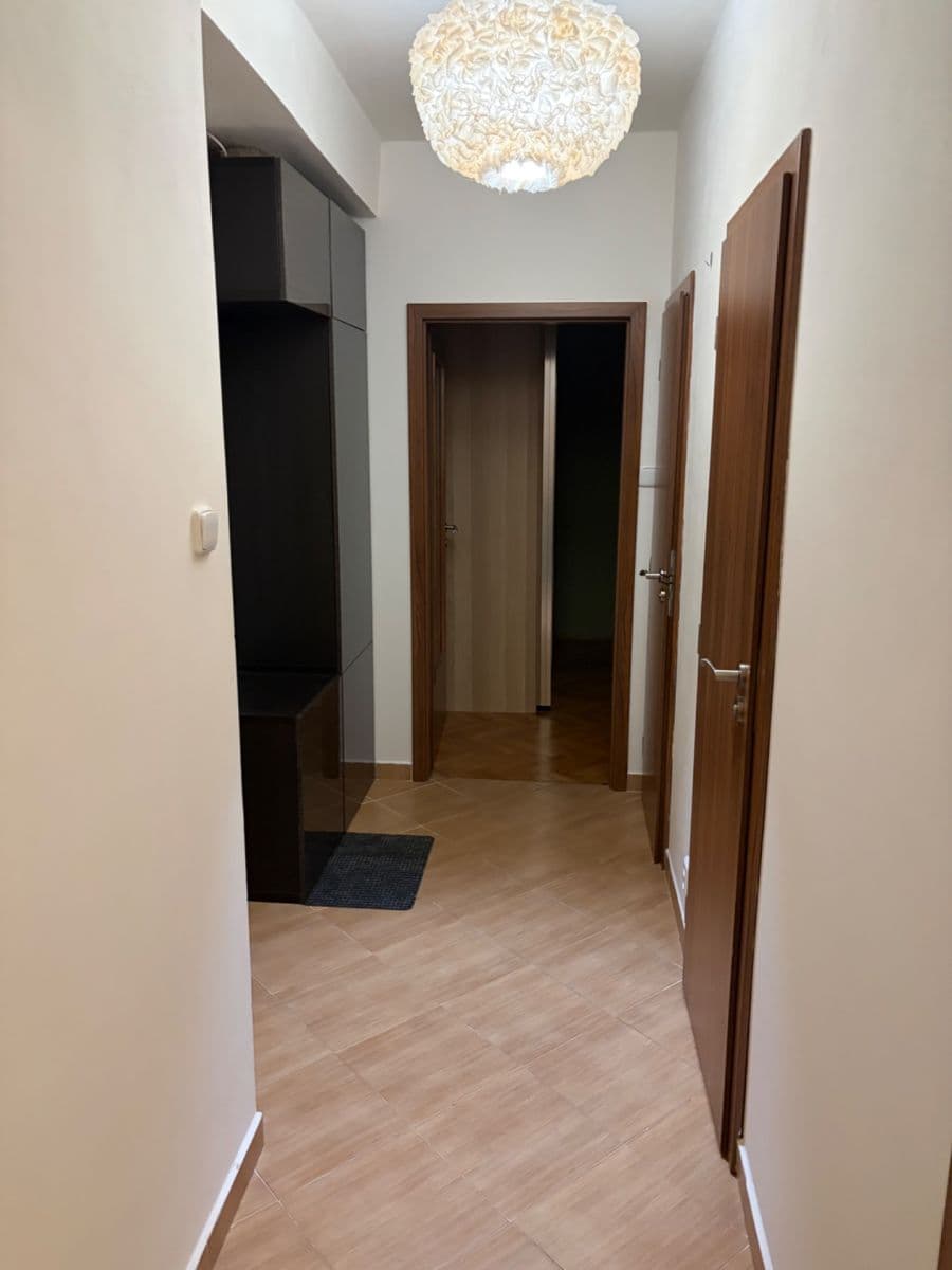 1 bedroom with open-plan kitchen flat to rent, 55 m², Podolská, Prague, Prague 1 bedroom with open-plan kitchen flat to rent, 55 m², Podolská, Prague, Prague