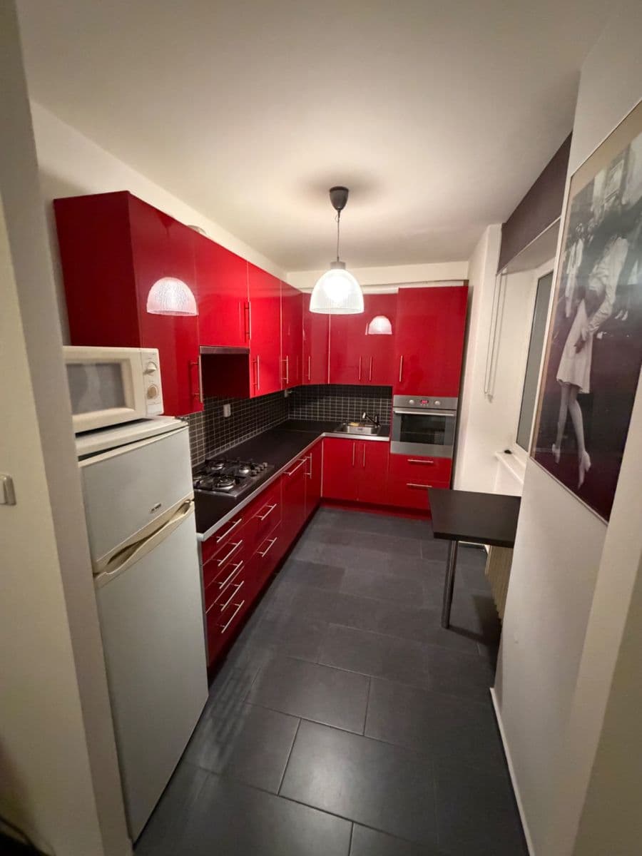 1 bedroom with open-plan kitchen flat to rent, 55 m², Podolská, Prague, Prague 1 bedroom with open-plan kitchen flat to rent, 55 m², Podolská, Prague, Prague