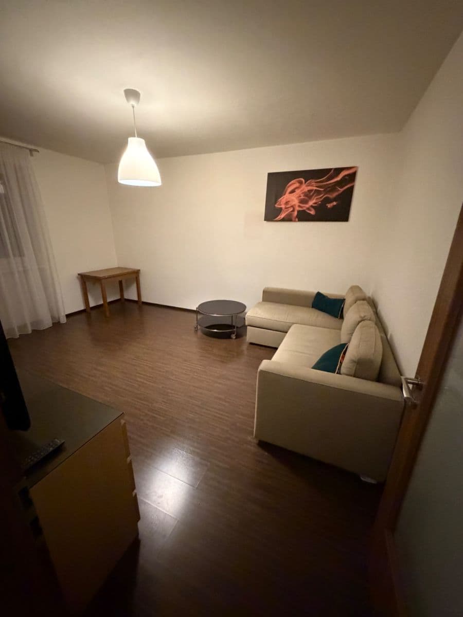 1 bedroom with open-plan kitchen flat to rent, 55 m², Podolská, Prague, Prague 1 bedroom with open-plan kitchen flat to rent, 55 m², Podolská, Prague, Prague