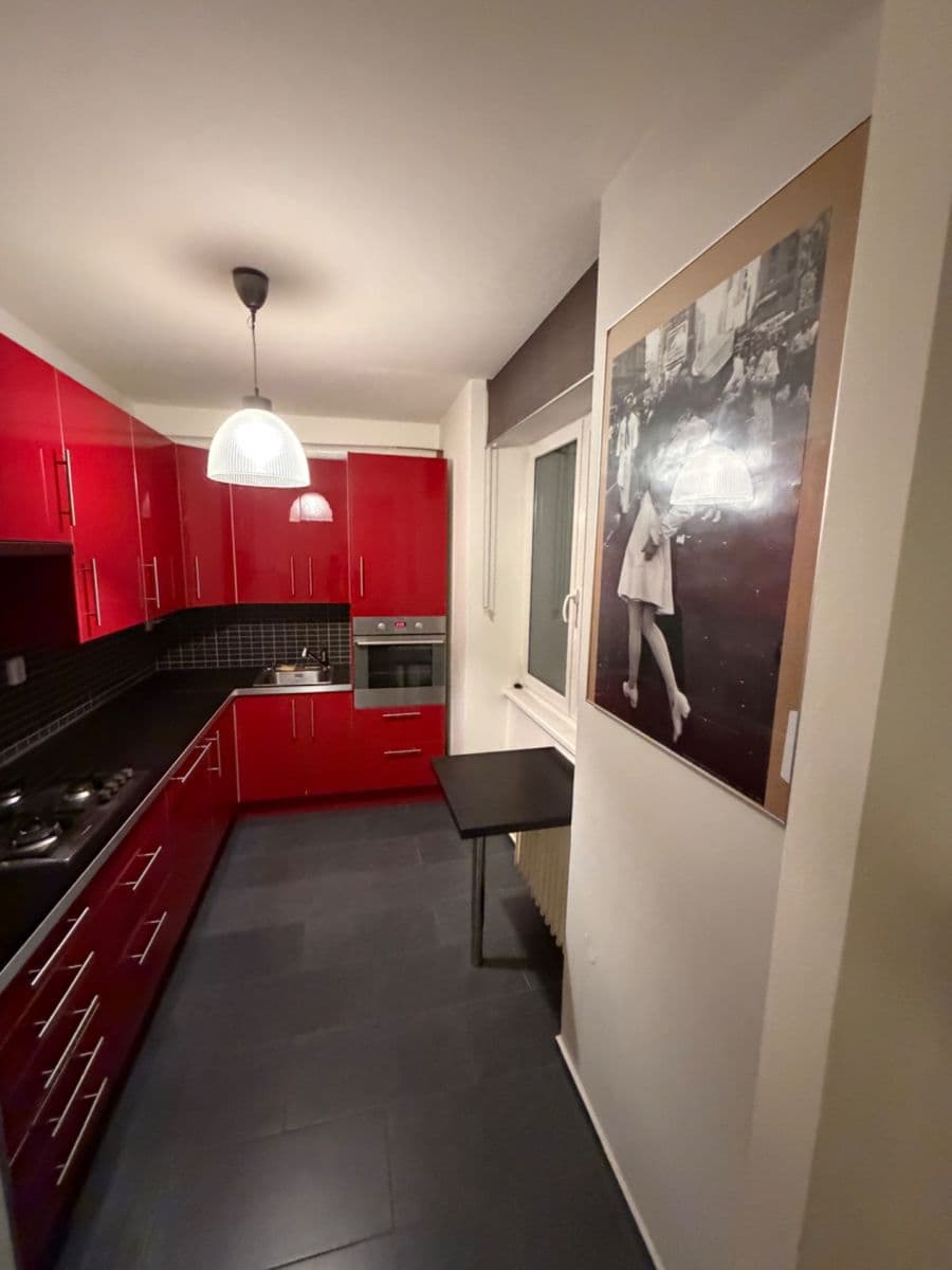 1 bedroom with open-plan kitchen flat to rent, 55 m², Podolská, Prague, Prague 1 bedroom with open-plan kitchen flat to rent, 55 m², Podolská, Prague, Prague