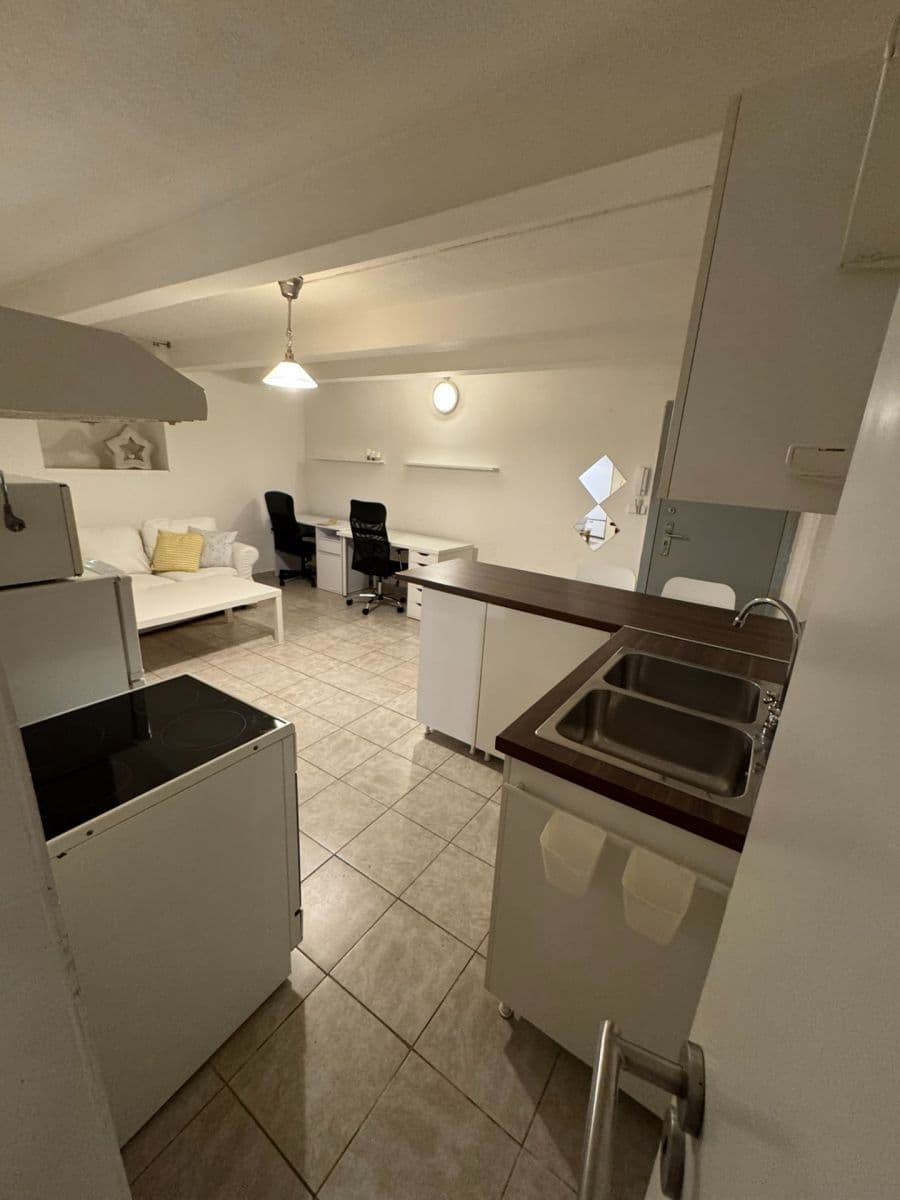 1 bedroom with open-plan kitchen flat to rent, 48 m², Bartoškova, Prague, Prague 1 bedroom with open-plan kitchen flat to rent, 48 m², Bartoškova, Prague, Prague