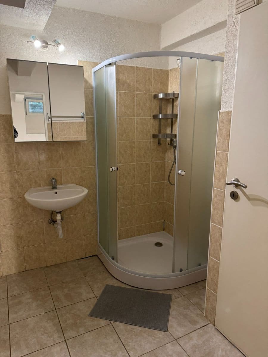 1 bedroom with open-plan kitchen flat to rent, 48 m², Bartoškova, Prague, Prague 1 bedroom with open-plan kitchen flat to rent, 48 m², Bartoškova, Prague, Prague