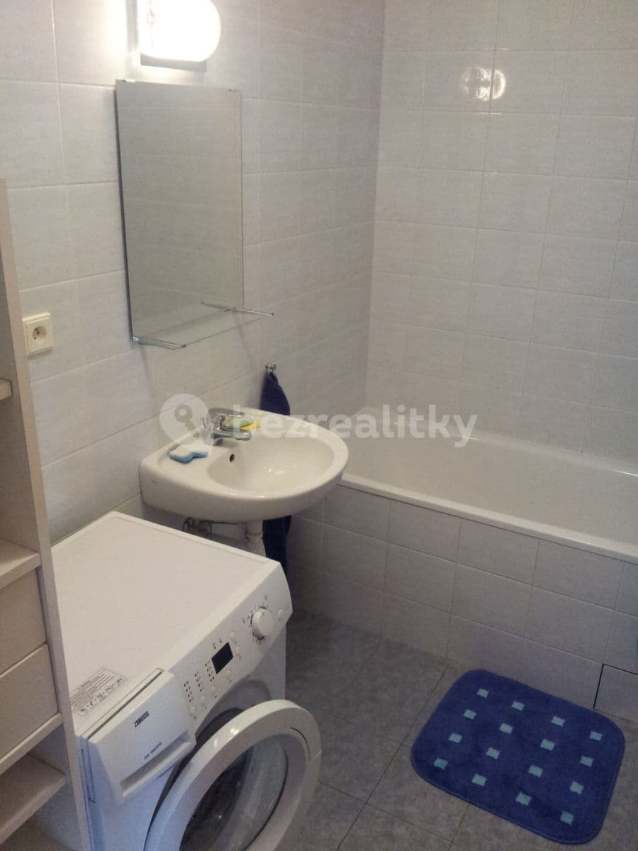 1 bedroom with open-plan kitchen flat to rent, 60 m², Na Žertvách, Prague, Prague 1 bedroom with open-plan kitchen flat to rent, 60 m², Na Žertvách, Prague, Prague