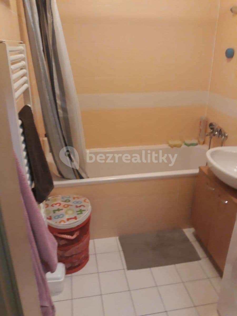 1 bedroom with open-plan kitchen flat to rent, 62 m², Za Zámečkem, Prague, Prague 1 bedroom with open-plan kitchen flat to rent, 62 m², Za Zámečkem, Prague, Prague