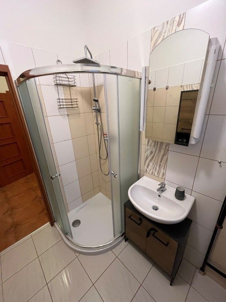 1 bedroom with open-plan kitchen flat to rent, 47 m², Lukášova, Prague, Prague 1 bedroom with open-plan kitchen flat to rent, 47 m², Lukášova, Prague, Prague