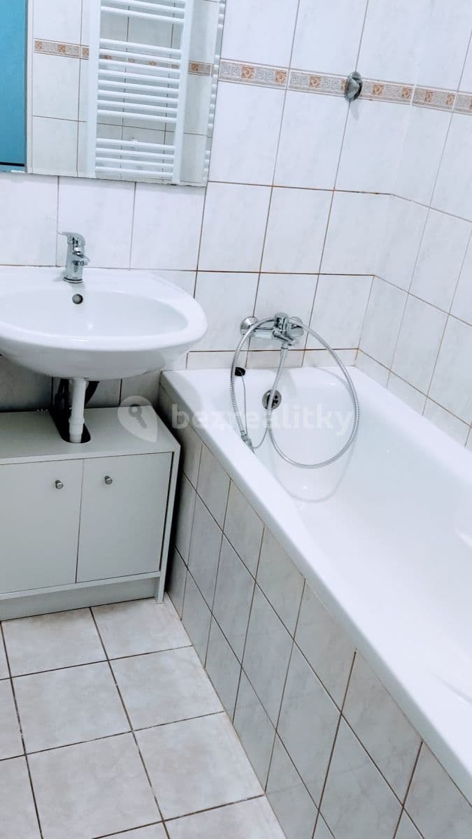 1 bedroom with open-plan kitchen flat to rent, 45 m², Bayerova, Brno, Jihomoravský Region 1 bedroom with open-plan kitchen flat to rent, 45 m², Bayerova, Brno, Jihomoravský Region