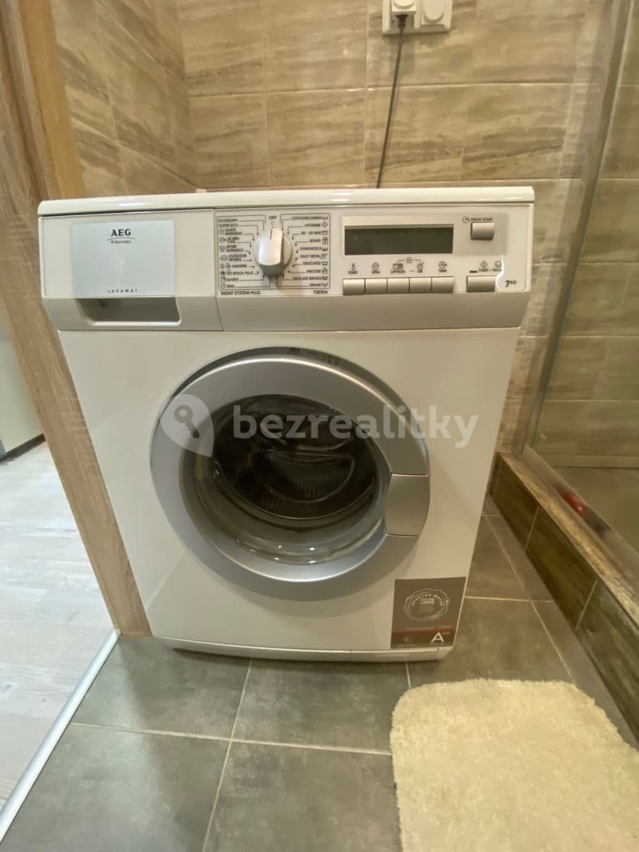 1 bedroom with open-plan kitchen flat to rent, 49 m², Smotlachova, Prague, Prague 1 bedroom with open-plan kitchen flat to rent, 49 m², Smotlachova, Prague, Prague