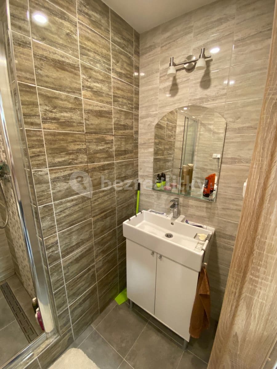 1 bedroom with open-plan kitchen flat to rent, 49 m², Smotlachova, Prague, Prague 1 bedroom with open-plan kitchen flat to rent, 49 m², Smotlachova, Prague, Prague