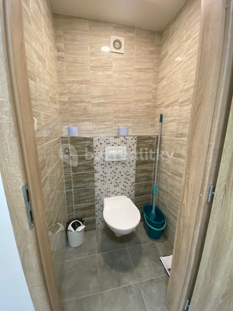 1 bedroom with open-plan kitchen flat to rent, 49 m², Smotlachova, Prague, Prague 1 bedroom with open-plan kitchen flat to rent, 49 m², Smotlachova, Prague, Prague