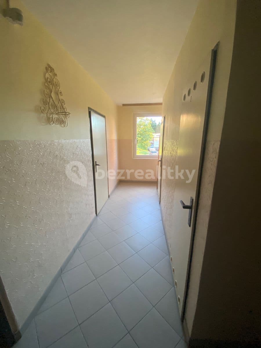 1 bedroom with open-plan kitchen flat to rent, 49 m², Smotlachova, Prague, Prague 1 bedroom with open-plan kitchen flat to rent, 49 m², Smotlachova, Prague, Prague