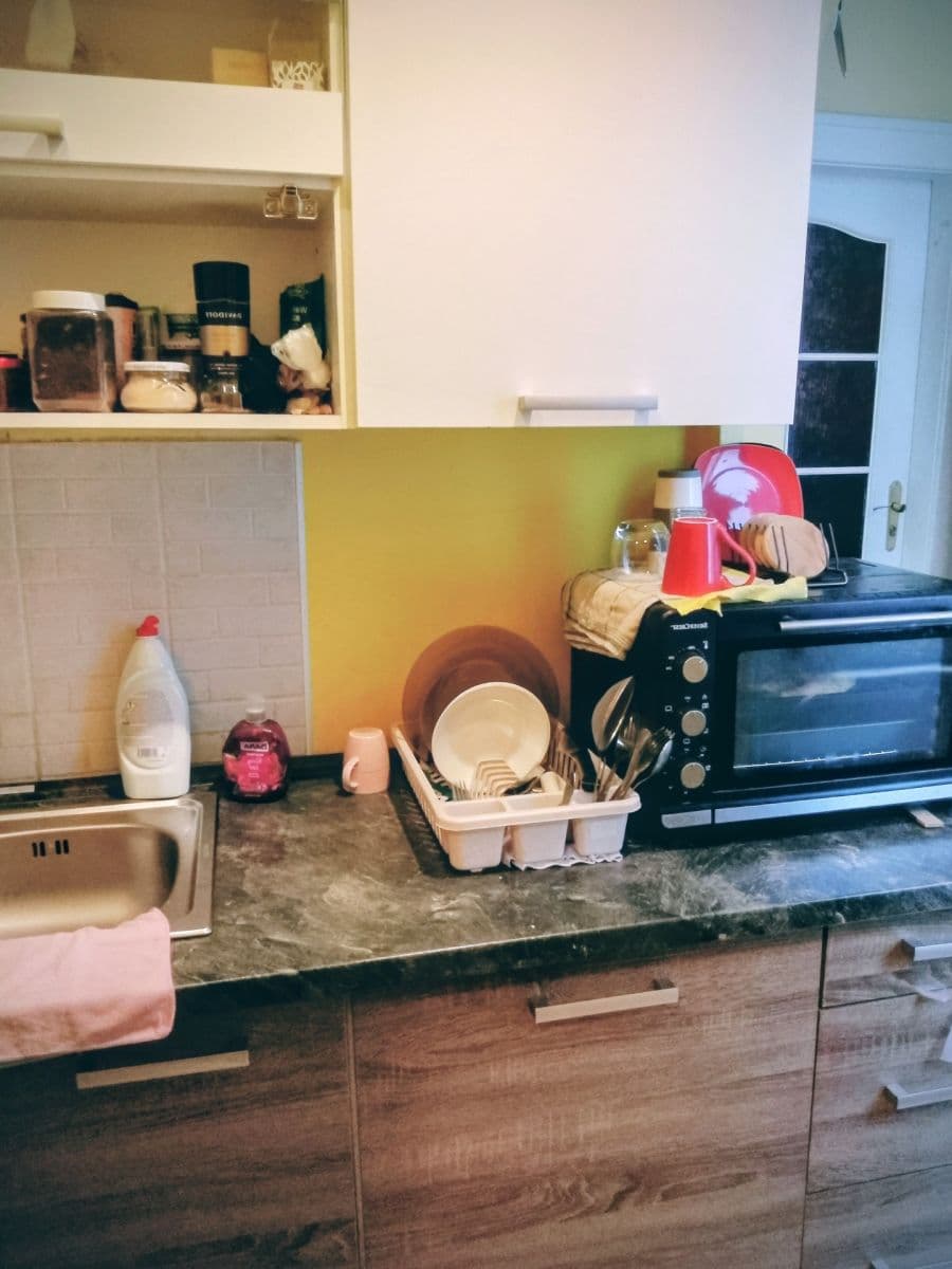 1 bedroom with open-plan kitchen flat to rent, 22 m², Jungmannova, Prague, Prague 1 bedroom with open-plan kitchen flat to rent, 22 m², Jungmannova, Prague, Prague