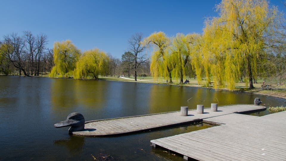 2 bedroom with open-plan kitchen flat to rent, 68 m², Malířská, Prague, Prague 2 bedroom with open-plan kitchen flat to rent, 68 m², Malířská, Prague, Prague