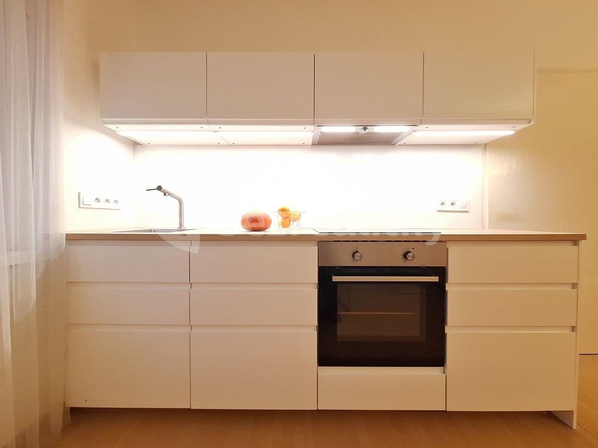 1 bedroom with open-plan kitchen flat to rent, 43 m², Na dlouhém lánu, Prague, Prague 1 bedroom with open-plan kitchen flat to rent, 43 m², Na dlouhém lánu, Prague, Prague