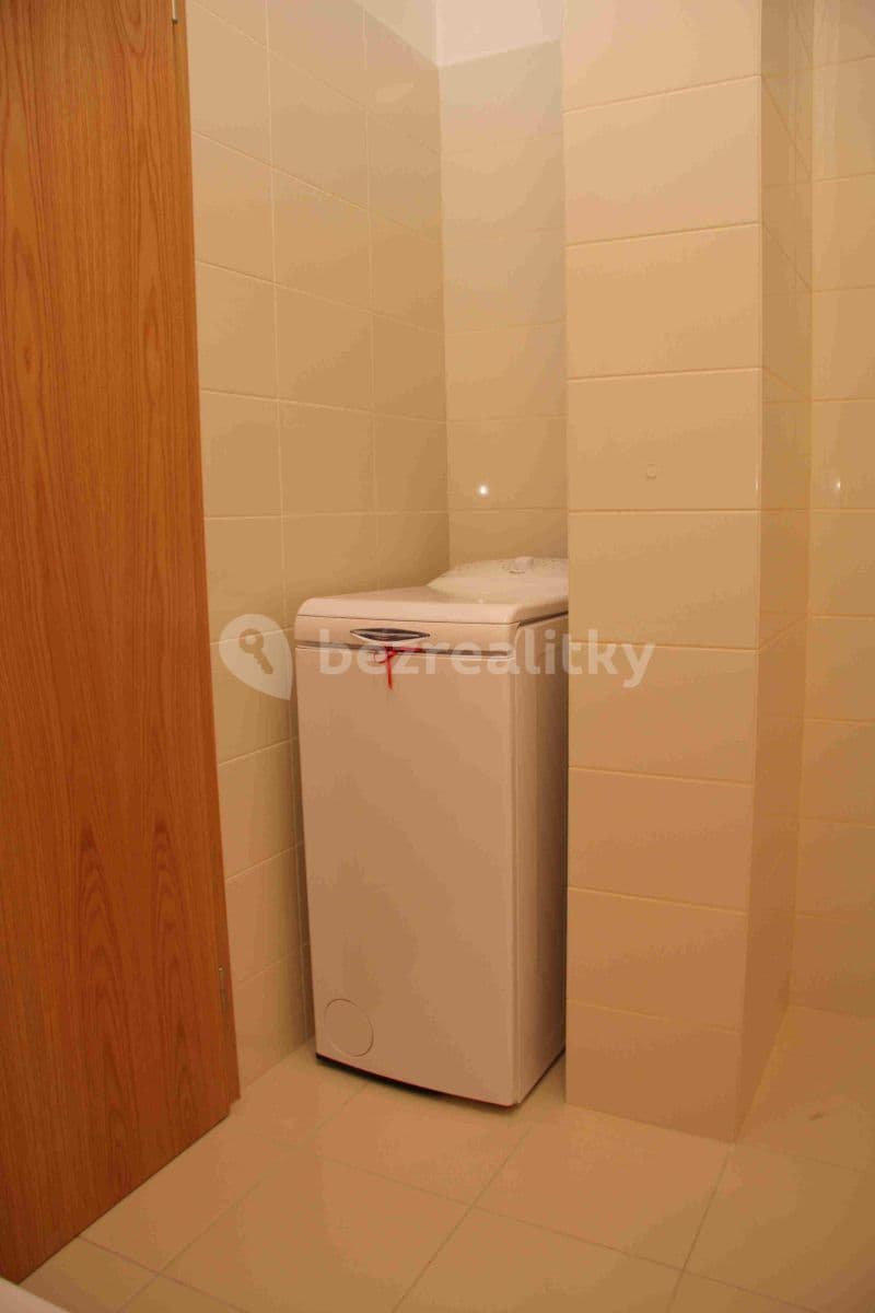 1 bedroom with open-plan kitchen flat to rent, 64 m², Vidlák, Prague, Prague 1 bedroom with open-plan kitchen flat to rent, 64 m², Vidlák, Prague, Prague