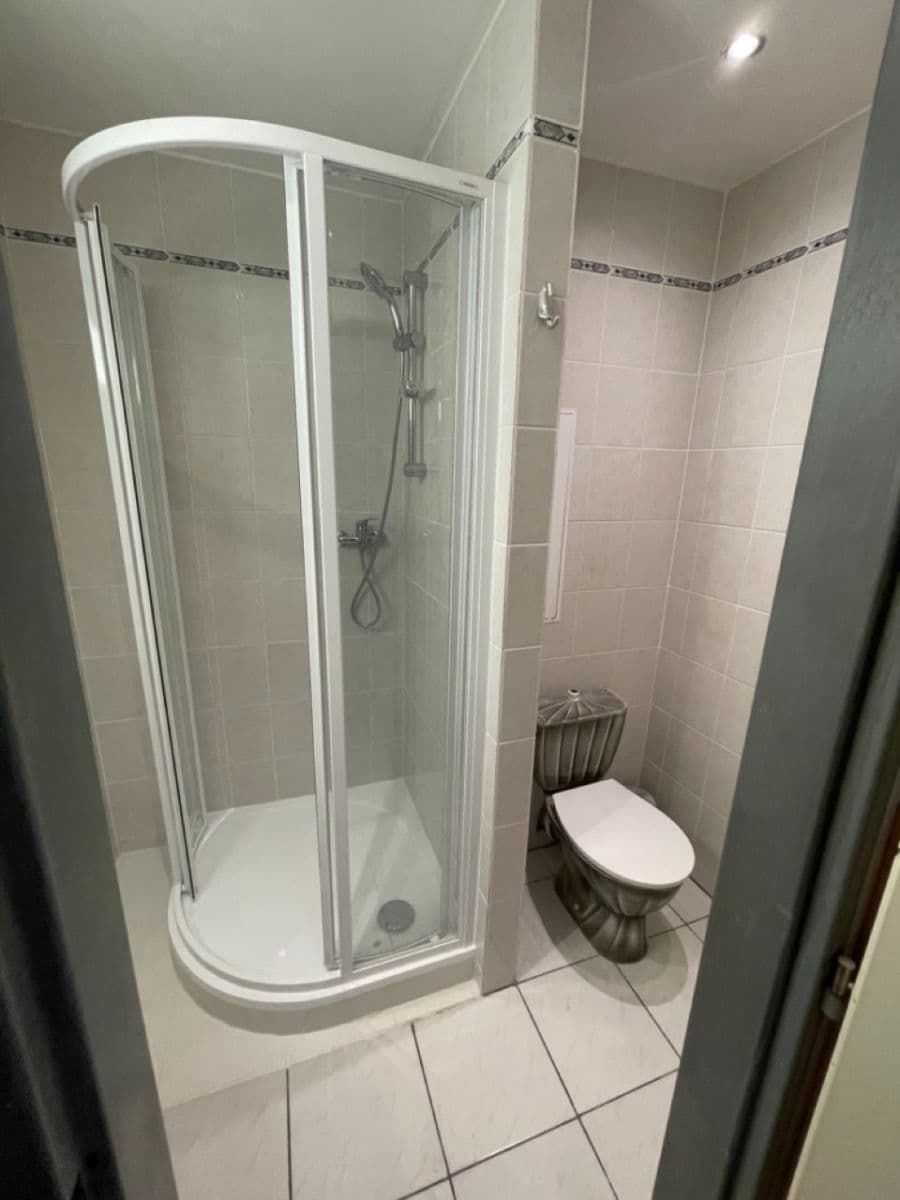 1 bedroom with open-plan kitchen flat to rent, 40 m², Pujmanové, Prague, Prague 1 bedroom with open-plan kitchen flat to rent, 40 m², Pujmanové, Prague, Prague