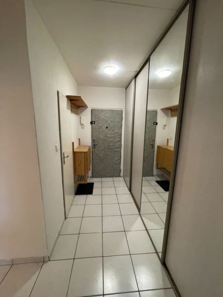 1 bedroom with open-plan kitchen flat to rent, 40 m², Pujmanové, Prague, Prague 1 bedroom with open-plan kitchen flat to rent, 40 m², Pujmanové, Prague, Prague