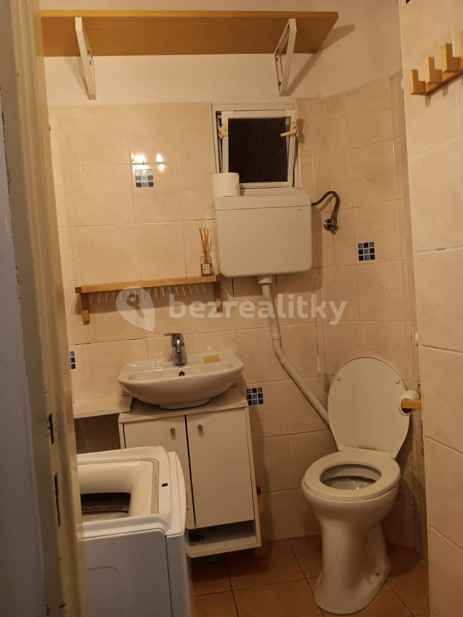 1 bedroom with open-plan kitchen flat to rent, 45 m², Nezamyslova, Prague, Prague 1 bedroom with open-plan kitchen flat to rent, 45 m², Nezamyslova, Prague, Prague