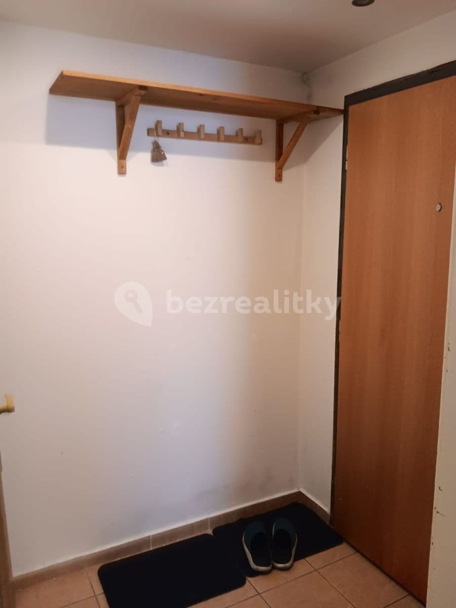 1 bedroom with open-plan kitchen flat to rent, 45 m², Nezamyslova, Prague, Prague 1 bedroom with open-plan kitchen flat to rent, 45 m², Nezamyslova, Prague, Prague