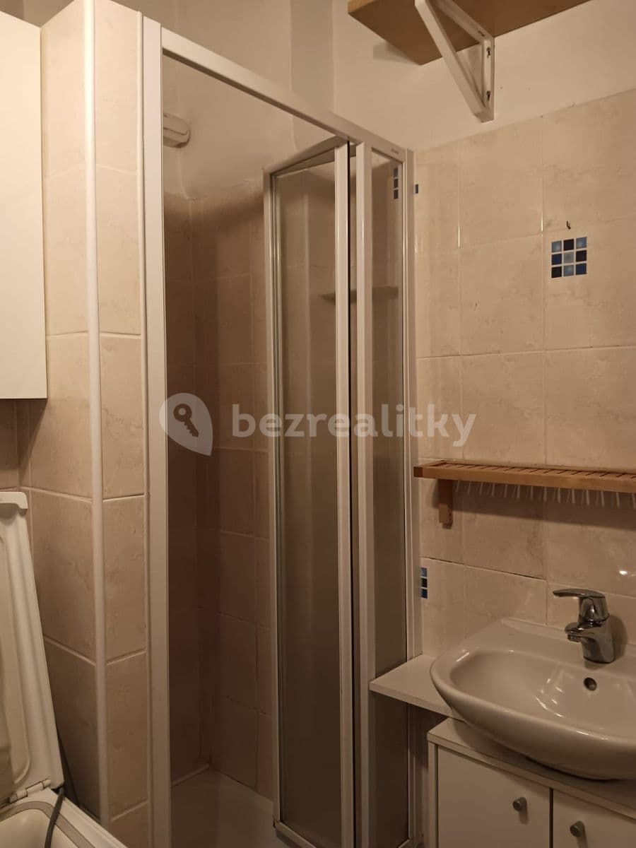 1 bedroom with open-plan kitchen flat to rent, 45 m², Nezamyslova, Prague, Prague 1 bedroom with open-plan kitchen flat to rent, 45 m², Nezamyslova, Prague, Prague