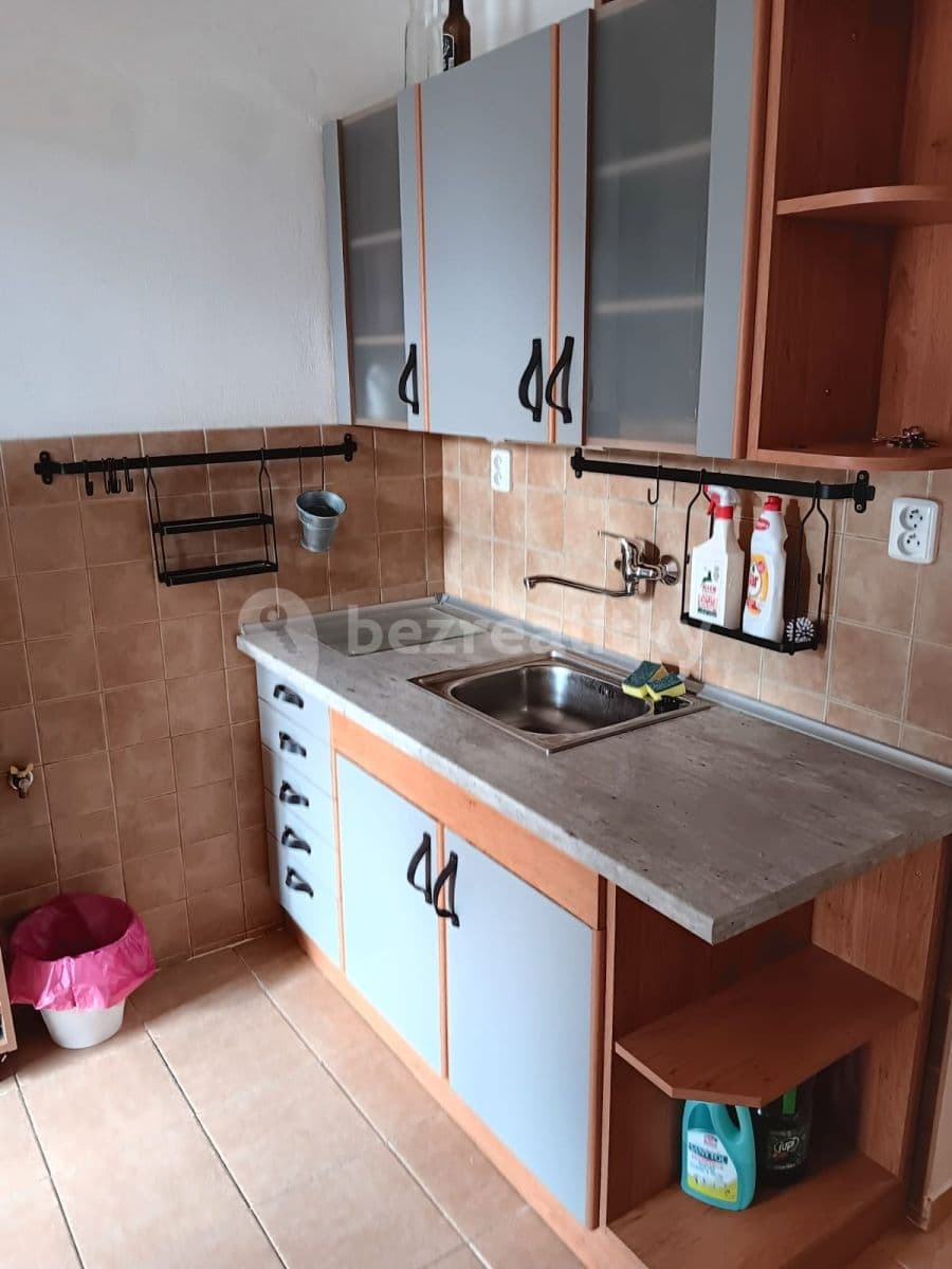 1 bedroom with open-plan kitchen flat to rent, 45 m², Nezamyslova, Prague, Prague 1 bedroom with open-plan kitchen flat to rent, 45 m², Nezamyslova, Prague, Prague