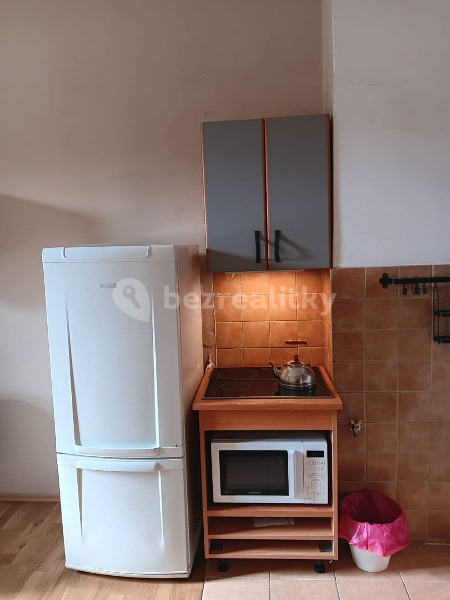 1 bedroom with open-plan kitchen flat to rent, 45 m², Nezamyslova, Prague, Prague 1 bedroom with open-plan kitchen flat to rent, 45 m², Nezamyslova, Prague, Prague