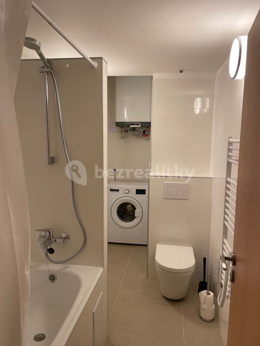 1 bedroom with open-plan kitchen flat to rent, 42 m², Štěpánská, Prague, Prague 1 bedroom with open-plan kitchen flat to rent, 42 m², Štěpánská, Prague, Prague
