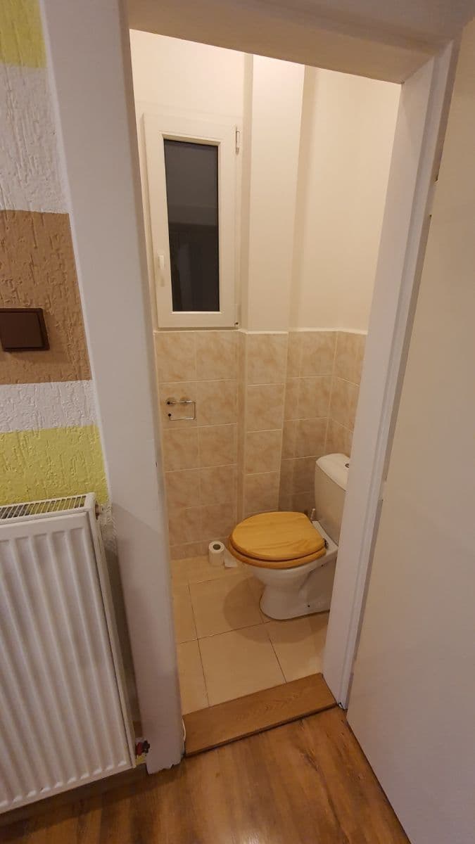 1 bedroom with open-plan kitchen flat to rent, 44 m², Michaila Jurjeviče Lermontova, Prague, Prague 1 bedroom with open-plan kitchen flat to rent, 44 m², Michaila Jurjeviče Lermontova, Prague, Prague