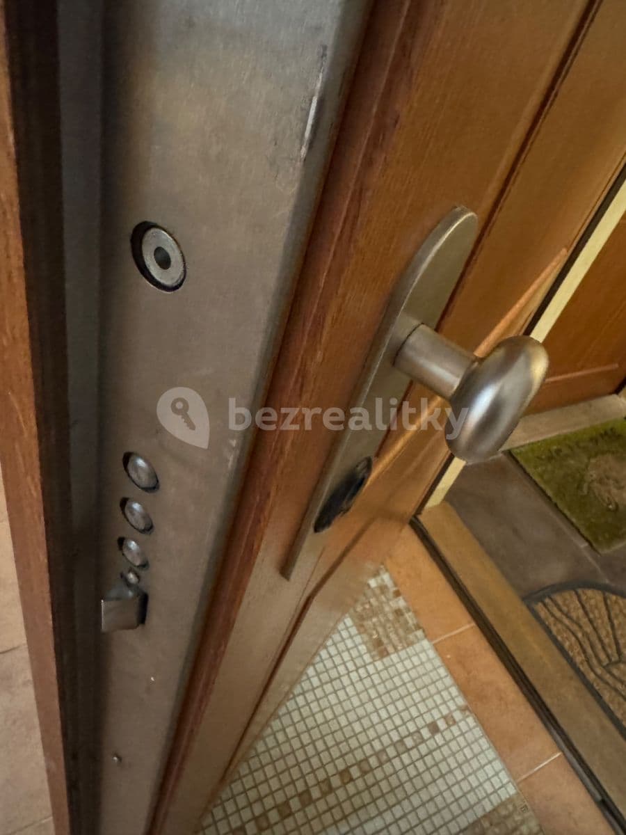 1 bedroom with open-plan kitchen flat to rent, 50 m², Rybalkova, Prague, Prague 1 bedroom with open-plan kitchen flat to rent, 50 m², Rybalkova, Prague, Prague