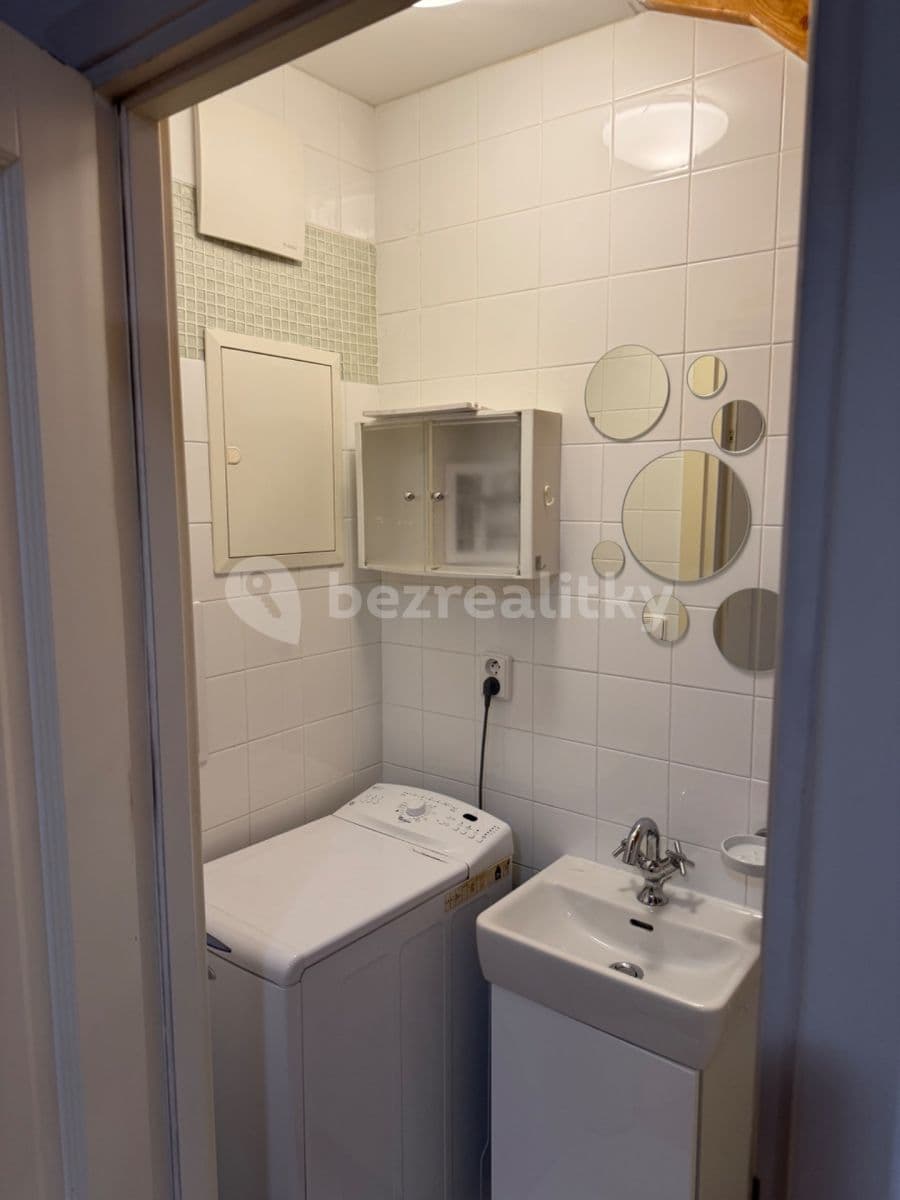 1 bedroom with open-plan kitchen flat to rent, 50 m², Rybalkova, Prague, Prague 1 bedroom with open-plan kitchen flat to rent, 50 m², Rybalkova, Prague, Prague