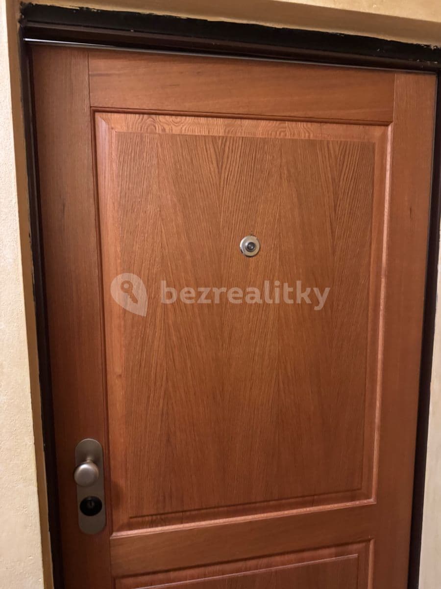 1 bedroom with open-plan kitchen flat to rent, 50 m², Rybalkova, Prague, Prague 1 bedroom with open-plan kitchen flat to rent, 50 m², Rybalkova, Prague, Prague