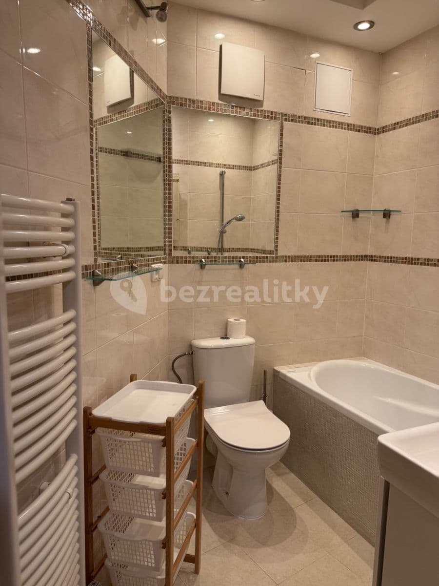 1 bedroom with open-plan kitchen flat to rent, 50 m², Rybalkova, Prague, Prague 1 bedroom with open-plan kitchen flat to rent, 50 m², Rybalkova, Prague, Prague