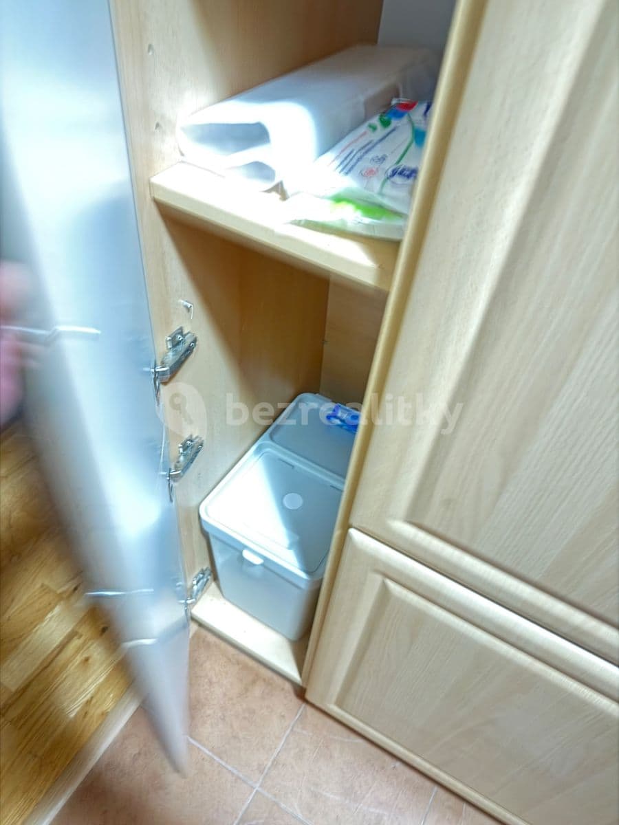 1 bedroom with open-plan kitchen flat to rent, 50 m², Rybalkova, Prague, Prague 1 bedroom with open-plan kitchen flat to rent, 50 m², Rybalkova, Prague, Prague