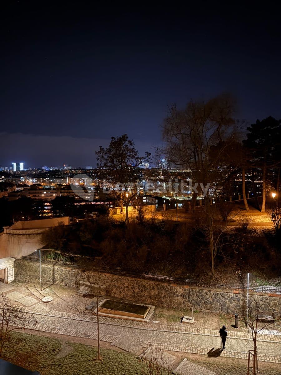 1 bedroom with open-plan kitchen flat to rent, 50 m², Rybalkova, Prague, Prague 1 bedroom with open-plan kitchen flat to rent, 50 m², Rybalkova, Prague, Prague