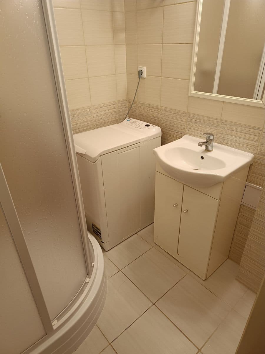 1 bedroom with open-plan kitchen flat to rent, 50 m², Biskupcova, Prague, Prague 1 bedroom with open-plan kitchen flat to rent, 50 m², Biskupcova, Prague, Prague
