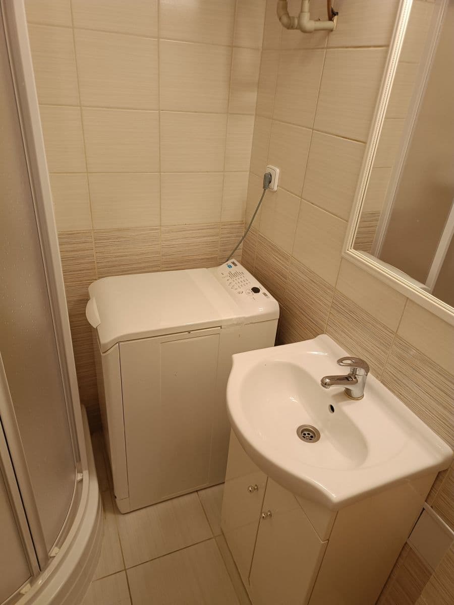 1 bedroom with open-plan kitchen flat to rent, 50 m², Biskupcova, Prague, Prague 1 bedroom with open-plan kitchen flat to rent, 50 m², Biskupcova, Prague, Prague