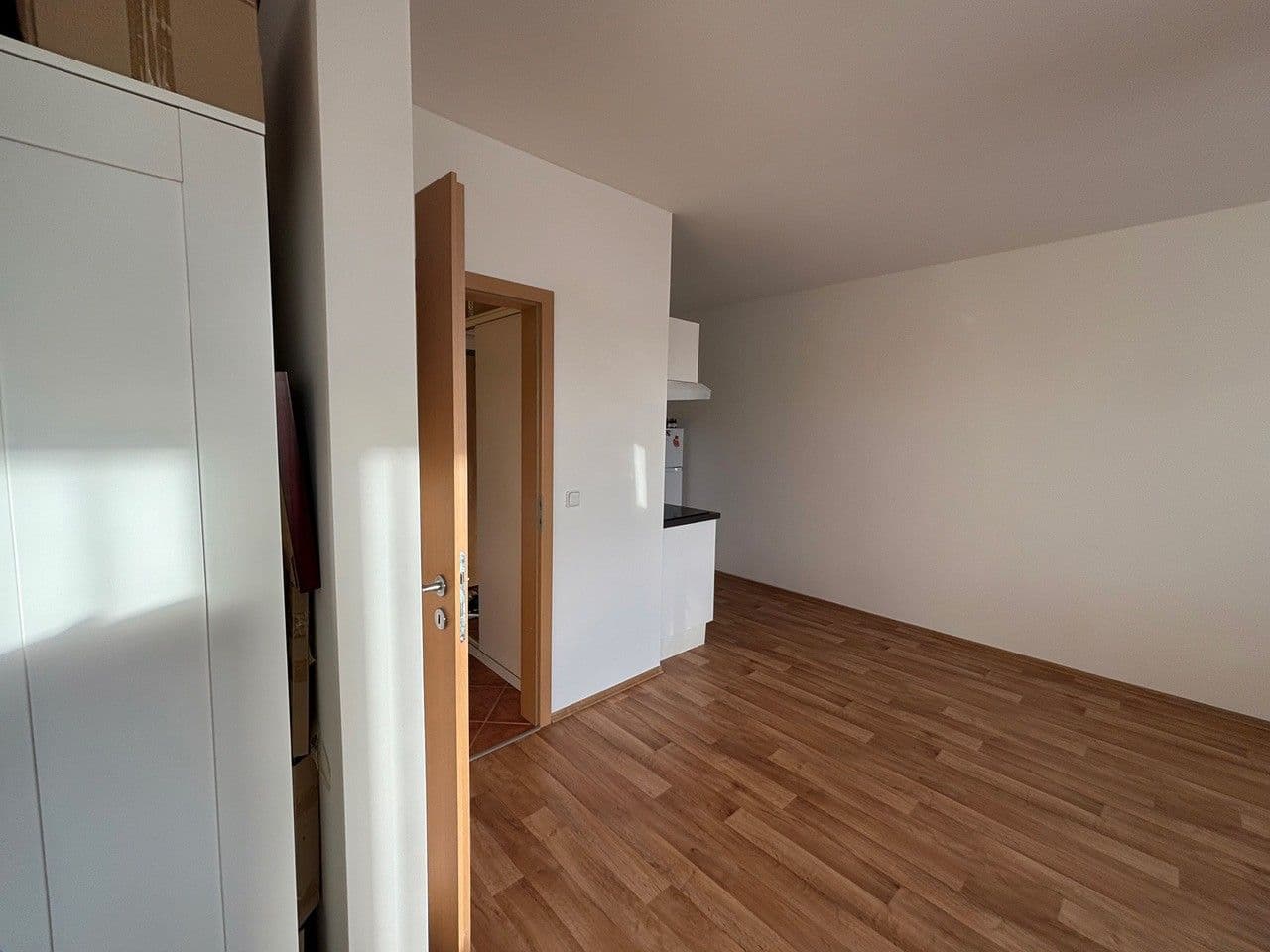 Studio flat to rent, 50 m², U Domu služeb, Prague, Prague Studio flat to rent, 50 m², U Domu služeb, Prague, Prague