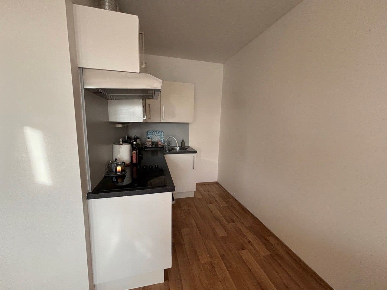 Studio flat to rent, 50 m², U Domu služeb, Prague, Prague Studio flat to rent, 50 m², U Domu služeb, Prague, Prague
