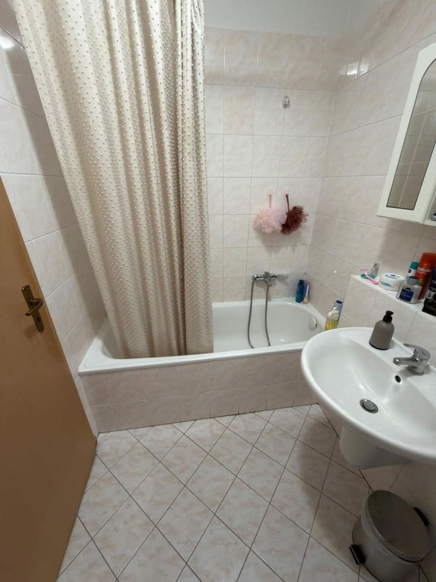1 bedroom with open-plan kitchen flat to rent, 56 m², Mikulova, Prague, Prague 1 bedroom with open-plan kitchen flat to rent, 56 m², Mikulova, Prague, Prague