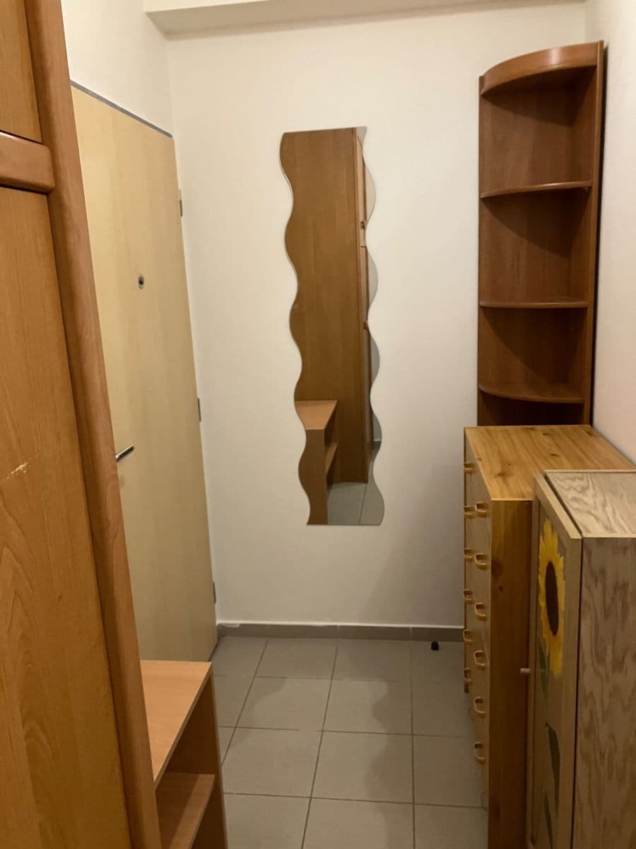 Studio flat to rent, 27 m², Purkyňova, Brno, Jihomoravský Region Studio flat to rent, 27 m², Purkyňova, Brno, Jihomoravský Region