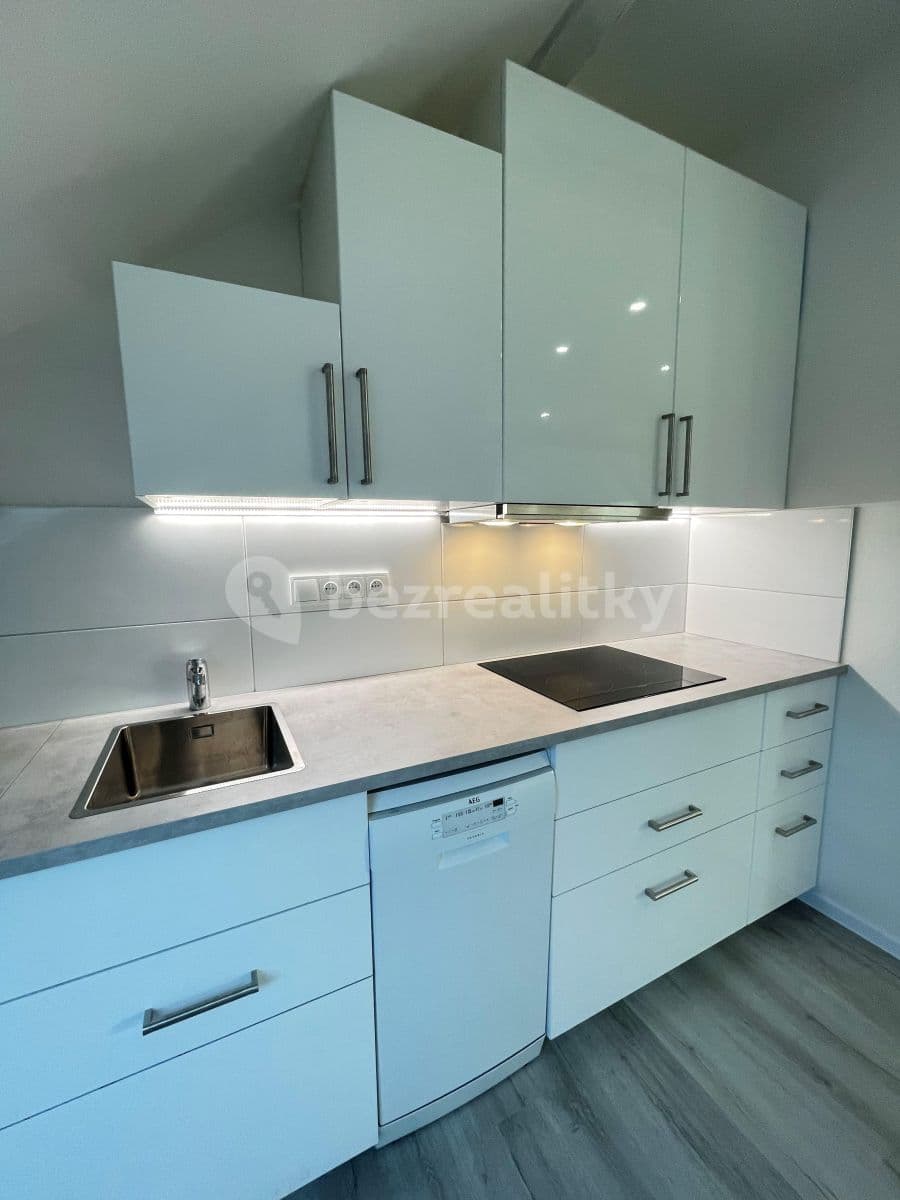 1 bedroom with open-plan kitchen flat to rent, 59 m², Preslova, Brno, Jihomoravský Region 1 bedroom with open-plan kitchen flat to rent, 59 m², Preslova, Brno, Jihomoravský Region