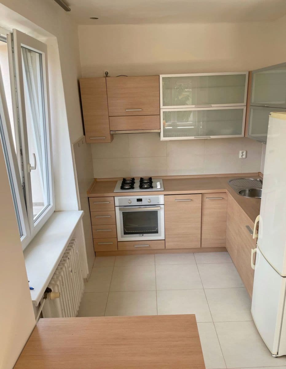 1 bedroom with open-plan kitchen flat to rent, 55 m², Tejnická, Prague, Prague 1 bedroom with open-plan kitchen flat to rent, 55 m², Tejnická, Prague, Prague