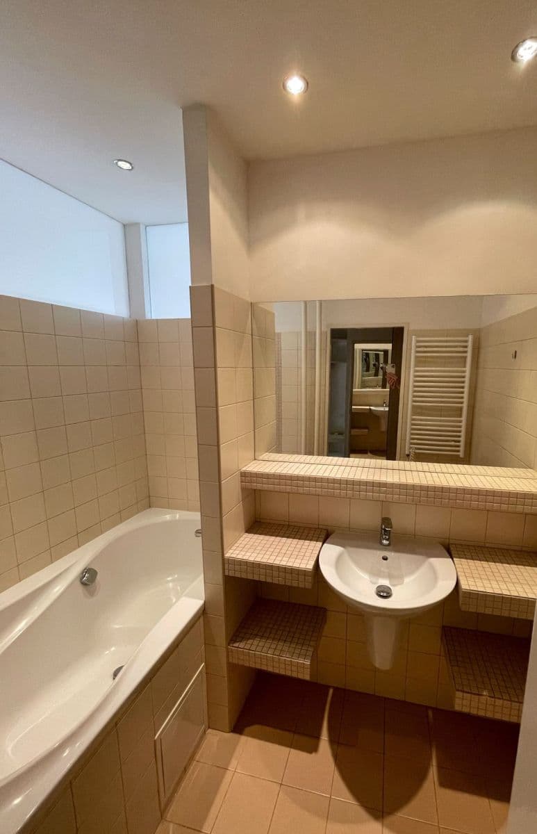 1 bedroom with open-plan kitchen flat to rent, 55 m², Tejnická, Prague, Prague 1 bedroom with open-plan kitchen flat to rent, 55 m², Tejnická, Prague, Prague