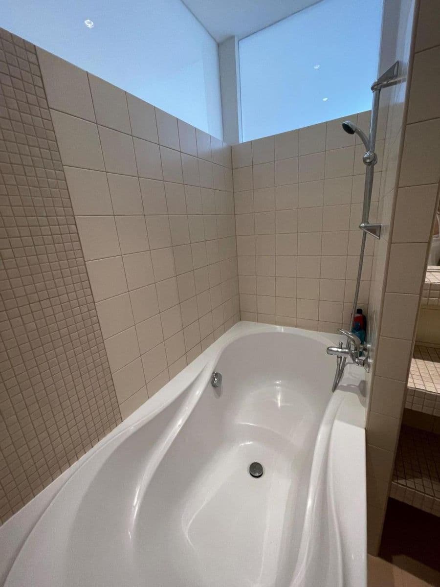 1 bedroom with open-plan kitchen flat to rent, 55 m², Tejnická, Prague, Prague 1 bedroom with open-plan kitchen flat to rent, 55 m², Tejnická, Prague, Prague