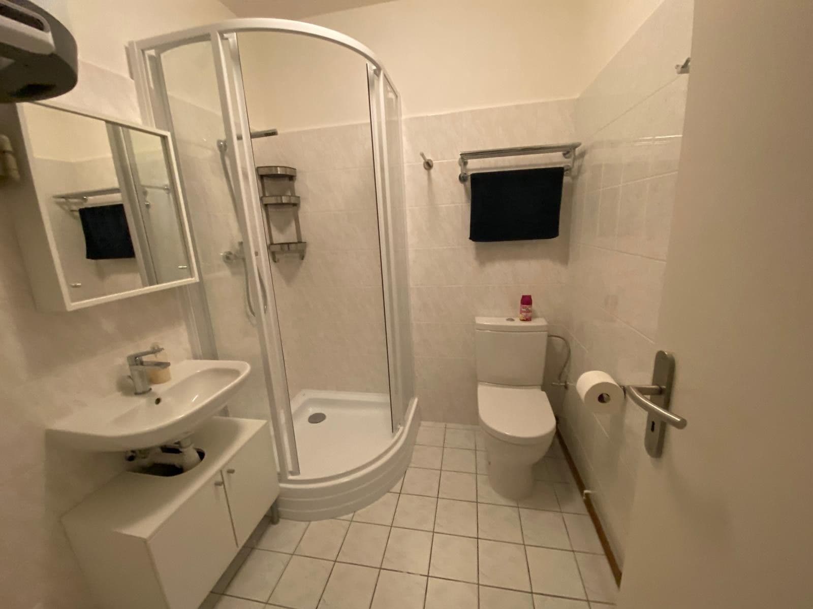 Studio flat to rent, 22 m², Mánesova, České Budějovice, Jihočeský Region Studio flat to rent, 22 m², Mánesova, České Budějovice, Jihočeský Region