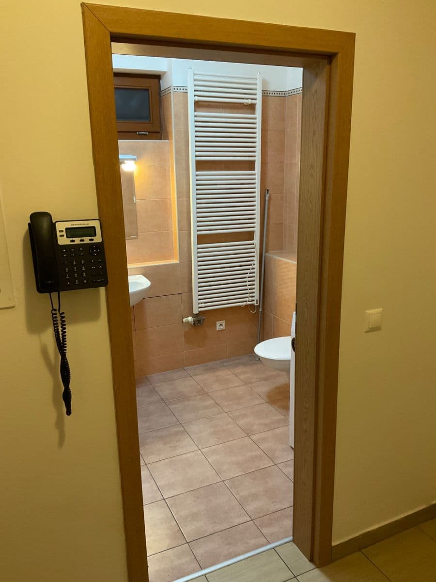 1 bedroom with open-plan kitchen flat to rent, 60 m², Varhulíkové, Prague, Prague 1 bedroom with open-plan kitchen flat to rent, 60 m², Varhulíkové, Prague, Prague