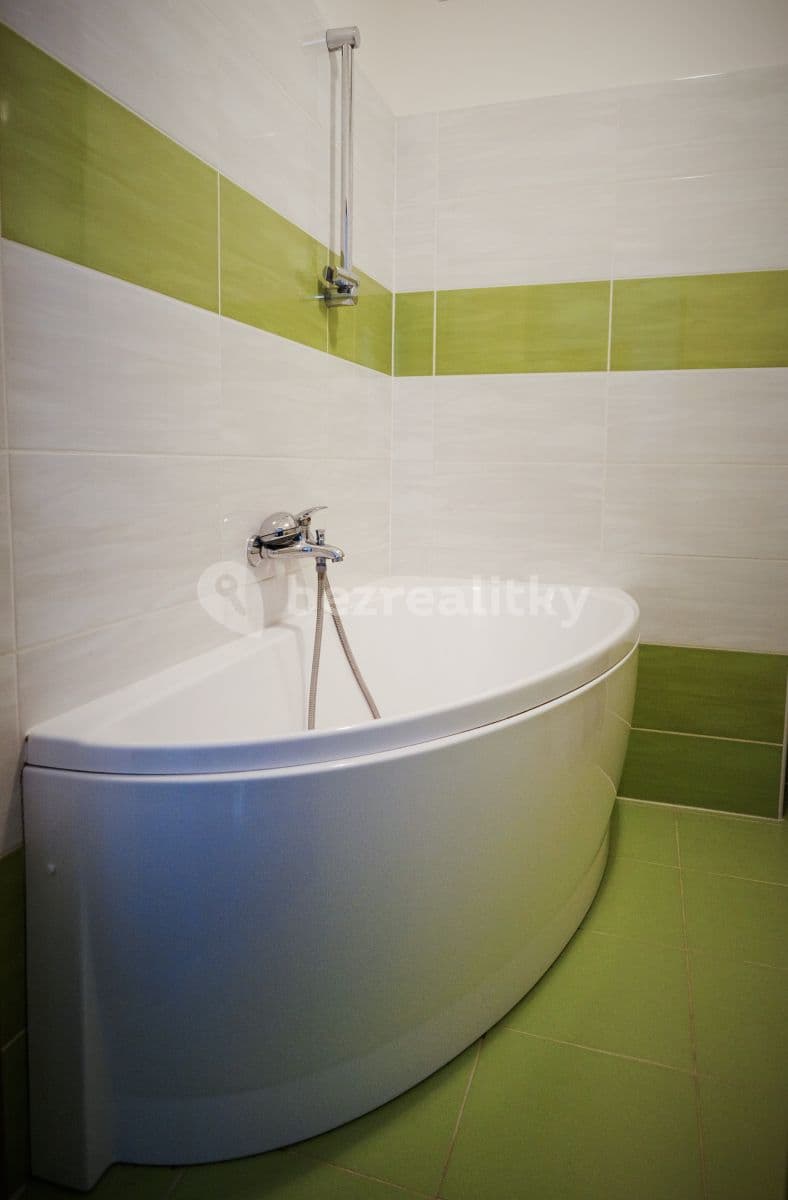1 bedroom with open-plan kitchen flat to rent, 45 m², Zbraslavská, Prague, Prague 1 bedroom with open-plan kitchen flat to rent, 45 m², Zbraslavská, Prague, Prague