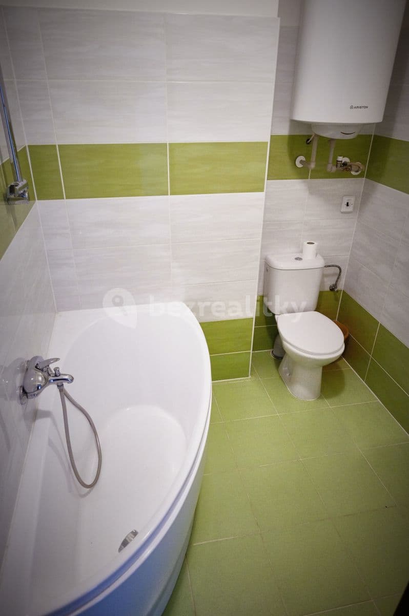 1 bedroom with open-plan kitchen flat to rent, 45 m², Zbraslavská, Prague, Prague 1 bedroom with open-plan kitchen flat to rent, 45 m², Zbraslavská, Prague, Prague