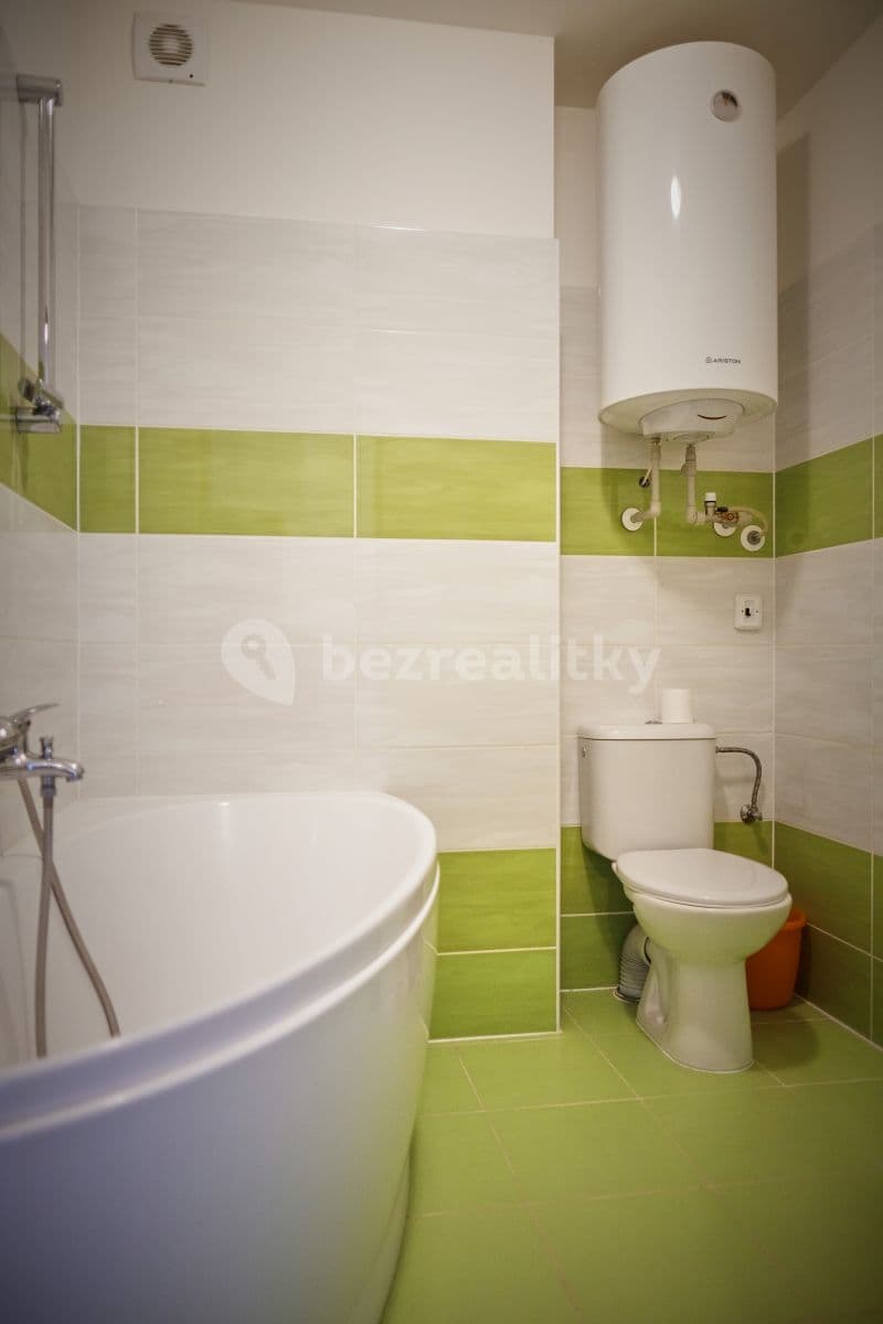 1 bedroom with open-plan kitchen flat to rent, 45 m², Zbraslavská, Prague, Prague 1 bedroom with open-plan kitchen flat to rent, 45 m², Zbraslavská, Prague, Prague